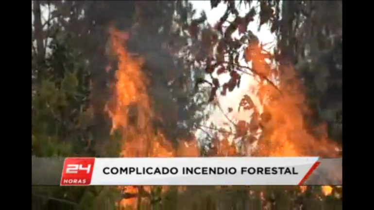 TVN Red Bío-Bío | Incendio forestal se registró en Santa Juana
