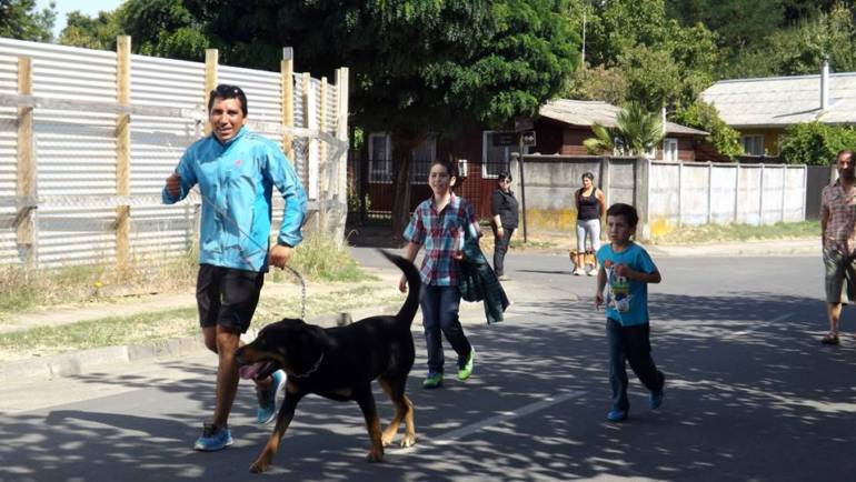1ª Perrotón en Santa Juana dejó contentos a los canes y sus dueños