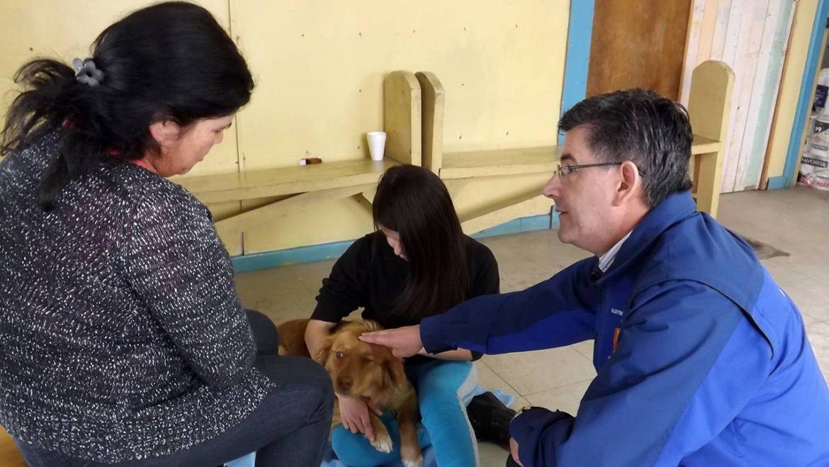 Exitosas esterilizaciones caninas y felinas se realizaron en Santa Juana