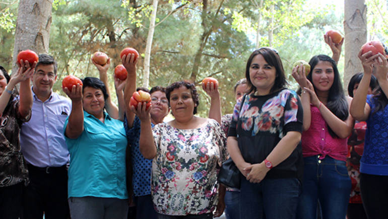 Santa Juana quiere convertirse en comuna abastecedora de productos agrícolas del Gran Concepción