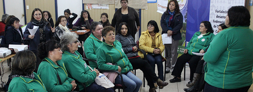En Santa Juana se desarrolló 2° Zonal de Fortalecimiento de Sindicatos de Trabajadoras de Casas Particulares