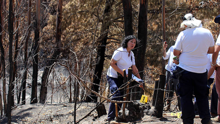 PDI inició investigaciones para determinar culpables de los incendios forestales