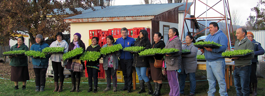 Santa Juana apunta a convertirse en abastecedores de productos agrícolas del Gran Concepción y sus alrededores