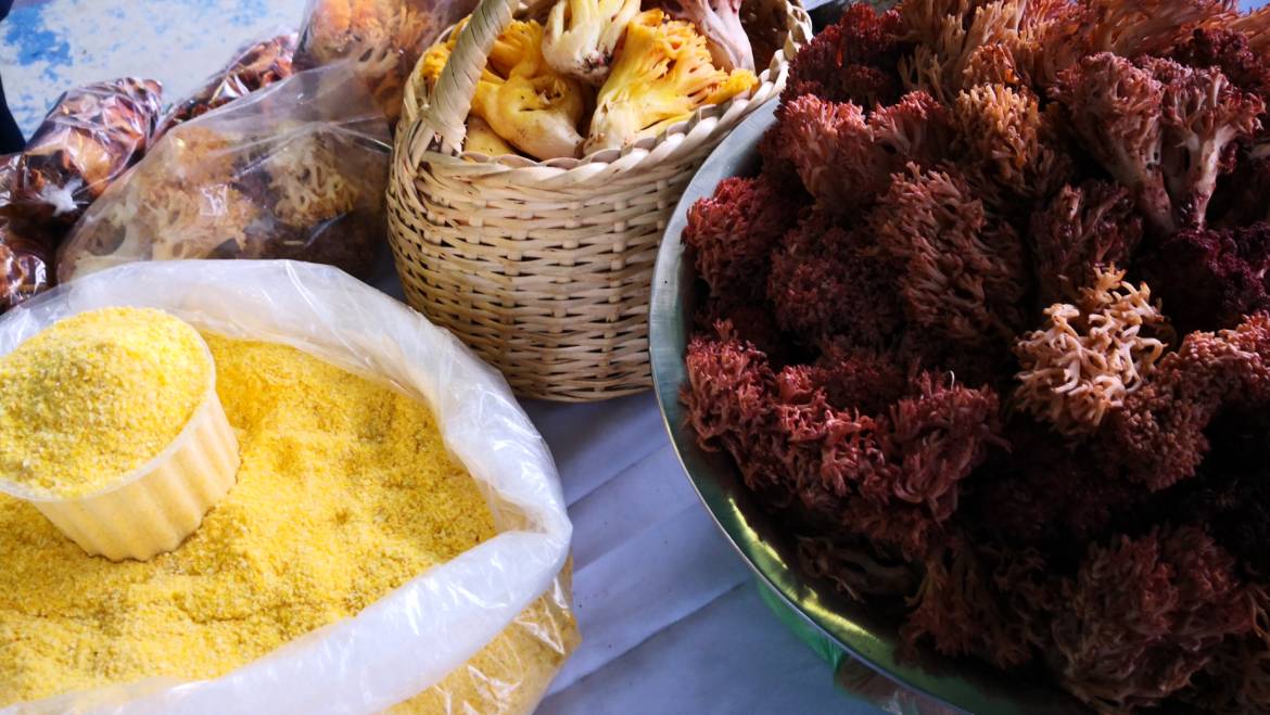 CMPC, Juntas de Vecinos rurales y Municipio organizaron la primera Muestra Gastronómica Campesina