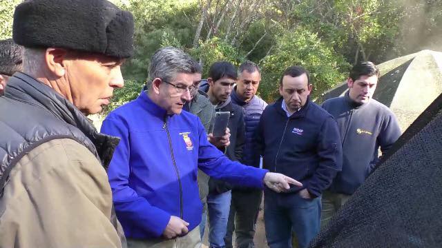 Santa Juana tendrá el primer criadero “popular” de salmones de Chile